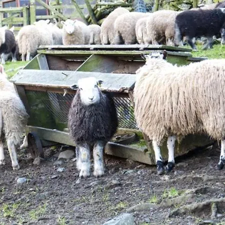 Stonethwaite *